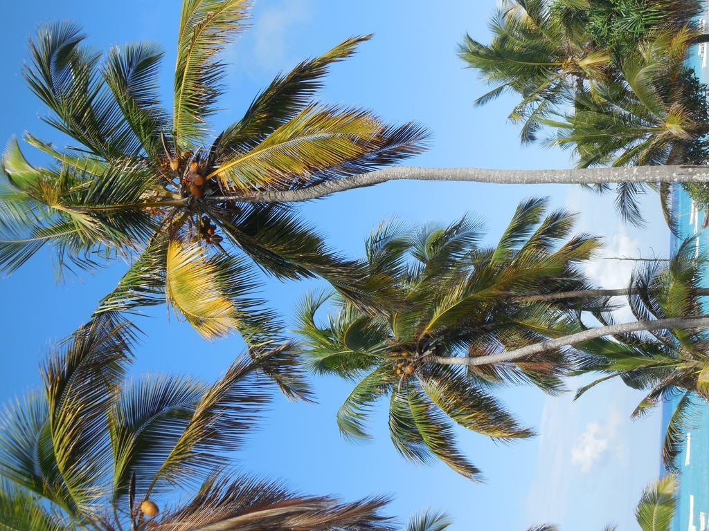 Swahili Beach Resort Zanzibar Bagian luar foto