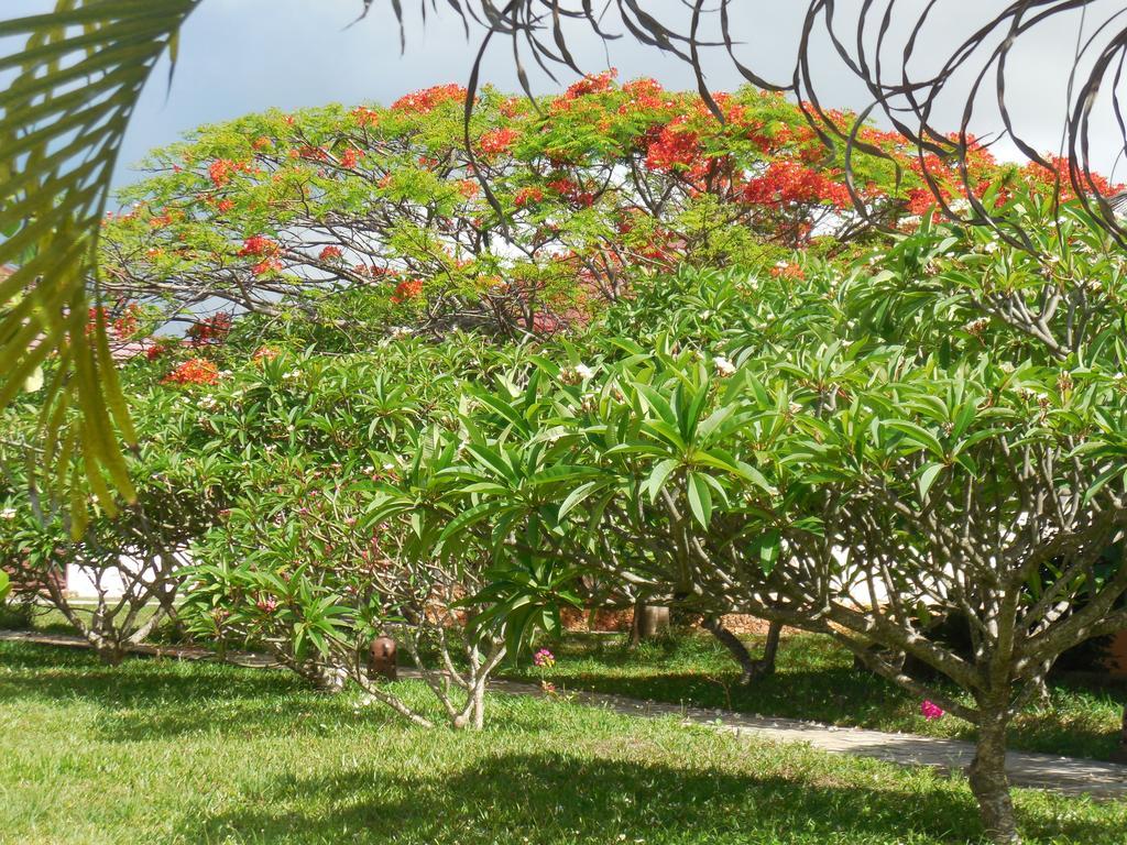 Swahili Beach Resort Zanzibar Bagian luar foto